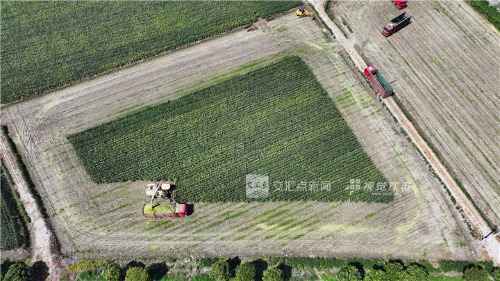 img-1789616438559330218522c45bc53579b2af30ca73667dd598b1f46b2008e3fd42011dd2ba027.jpg